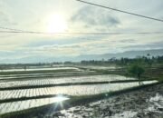 Prakiraan Cuaca Sukabumi 19 Mei 2026: Pagi Cerah Berawan, Sore Hujan