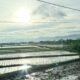 Cuaca Sukabumi