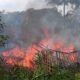 Rumah Warga di Kalibunder Hangus Terbakar, Dua Motor dan Traktor Tak Terselamatkan