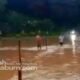 Seratusan Hektar Sawah Terendam Banjir di Cibadak Sukabumi, Petani Rugi Puluhan Juta Rupiah