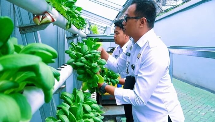 Lapas Sukabumi Sulap Lahan Sempit Jadi Ladang Harapan