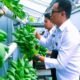Lapas Sukabumi Sulap Lahan Sempit Jadi Ladang Harapan