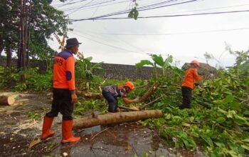 Hujan Angin Terjang Sukabumi, Atap Rumah Beterbangan Hingga Pepohonan Tumbang