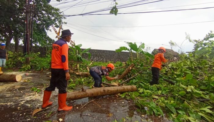 Hujan Angin Terjang Sukabumi, Atap Rumah Beterbangan Hingga Pepohonan Tumbang