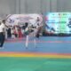 GOR Merdeka Bergemuruh, Sukabumi Challenge 2 Jadi Panggung Semangat Atlet Taekwondo Muda