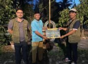 Perkuat Kepedulian Sosial, PT DMCG Tebar Puluhan Hewan Kurban