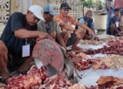 Hewan Kurban di Kota Sukabumi Dipastikan Layak Konsumsi Hingga Hari Tasyrik