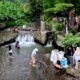 Curug Bedul, Objek Wisata Air Terjun Gratis di Purwakarta: dari Mata Air Pegunungan