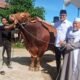 Sapi Kurban “Predator” 1,2 Ton dari Presiden Prabowo di Sukabumi Jadi Perhatian
