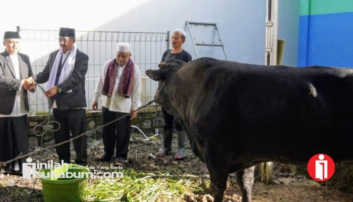Salat Idul Adha di Jampangtengah, Bupati Sukabumi Serahkan Sapi Kurban Presiden Prabowo