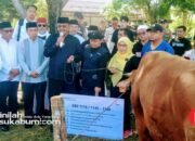 Bakrie Amanah Salurkan 14 Sapi Kurban di Kota dan Kabupaten Sukabumi, Bobotnya Ada yang Satu Ton