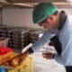 KPK: Program MBG Belum Tepat Sasaran, Orang Miskin Dilupakan!