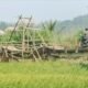 Delapan Tahun Rusak, Jembatan Caringin Tak Kunjung Diperbaiki