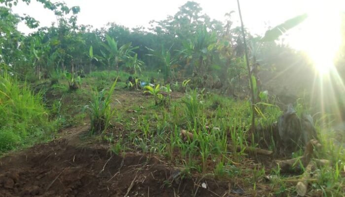 Warga Terdampak Bencana di Simpenan Sukabumi Desak Pengiriman Alat Berat untuk Percepat Relokasi