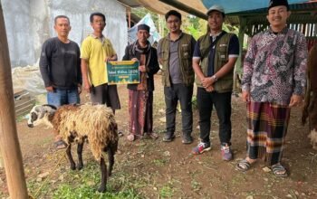 Dari Energi Panas Bumi hingga Kurban Idul Adha, PT DMCG Perkuat Kepedulian Sosial