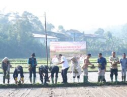 Antisipasi El Nino, Dinas Pertanian Sukabumi Kejar Target PAT Padi 11.140 Hektar