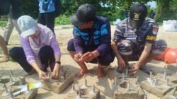 Tanam 400 Substrat Terumbu Karang di Pantai Cibuaya, Wujud Nyata Pelestarian Laut Sukabumi