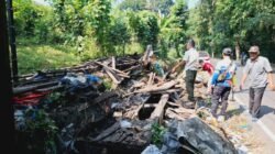 Penataan Kawasan, Bangunan Liar di Batu Sapi Palabuhanratu Ditertibkan
