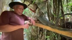 Kincir Air Abah Sarmuh, Listrik Mandiri Karya Petani 80 Tahun di Caringin Sukabumi
