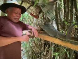 Kincir Air Abah Sarmuh, Listrik Mandiri Karya Petani 80 Tahun di Caringin Sukabumi