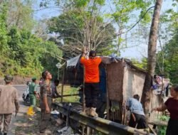 Bangunan Liar di Cikawini Dibongkar, Tingkatkan Keselamatan Pengguna Jalan