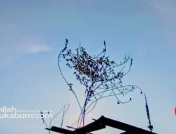 Waspada Angin Kencang di Jawa Barat Hari Ini, Simak Prakiraan Cuaca Lengkap 15 Juli 2026
