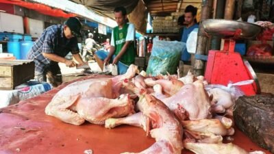 Pedagang Ayam Pootong Sukabumi