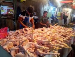Harga Ayam Potong di Pasar Palabuhanratu Merangkak Naik, Komoditas Lain Masih Stabil