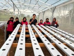 Pertamina Patra Niaga RJBB Perkuat Program Katasik melalui Pelatihan Hidroponik di Tasikmalaya