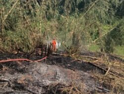 Kebakaran Lahan di Kalapanunggal Sempat Merambat, Damkar Berhasil Jinakkan Api