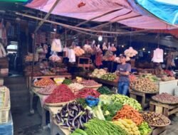 Bapanas Awasi Distribusi Bawang Putih, Pasokan Kating Jadi Sorotan