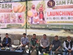 Tak Cuma Pantai, Cisolok Kini Punya Wisata Petik Melon Premium di Greenhouse Modern
