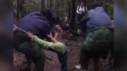 Viral Evakuasi Pendaki 140 Kg di Gunung Gede, Relawan Ungkap Proses Penyelamatan Selama 7 Jam
