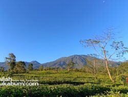 Prakiraan Cuaca 2 Agustus : Sukabumi dan Sekitar Waspada Hujan Lokal hingga Angin Kencang