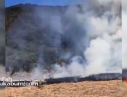 Breaking News, Kawasan Taman Nasional Gunung Gede Pangrango Terbakar !