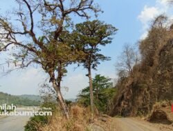 Prakiraan Cuaca 8 Agustus : Langit Cerah Dominasi Jawa Barat, Termasuk Sukabumi