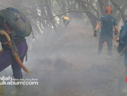 Setelah Alun-alun Suryakencana, Kawah Wadon di Taman Nasional Gunung Gede Pangrango Terbakar