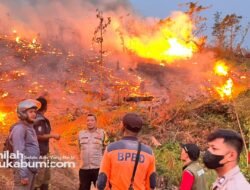 Lahan Perum Perhutani di Sukabumi Terbakar, Tim Gabungan Berjibaku Padamkan Api