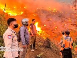 Prakiraan Cuaca 10 Agustus : Sukabumi Cerah Berawan, Suhu Tembus 35 Derajat Celsius