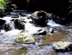 Prakiraan Cuaca 21 Agustus : Waspada Potensi Hujan dan Angin Sore ini di Sukabumi