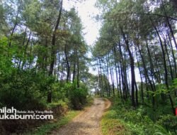 Prakiraan Cuaca 23 Agustus : Sukabumi Didominasi Cerah Berawan Sepanjang Hari, Suhu Capai 35 Derajat Celsius
