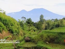 Prakiraan Cuaca 26 Agustus : Waspada Potensi Hujan dan Angin Kencang di Sukabumi