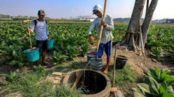El Nino Berpotensi Kerek Inflasi, Harga Pangan Jadi Sorotan