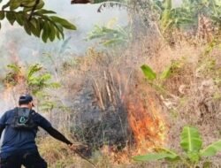 Kebakaran Lahan Dekat Gunung Jayanti Palabuhanratu, Petugas Berjibaku di Medan Terjal