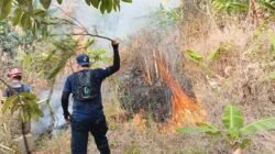 Damkar Kabupaten Sukabumi Sigap Padamkan Api dari Gunung Jayanti