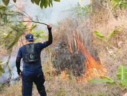 Damkar Kabupaten Sukabumi Sigap Padamkan Api dari Gunung Jayanti