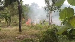 3.000 Meter Persegi Lahan Terbakar di Karangpapak Cisolok, Damkar dan Warga Padamkan Api