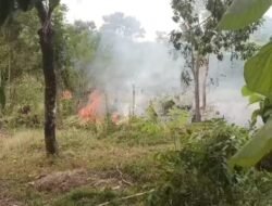 3.000 Meter Persegi Lahan Terbakar di Karangpapak Cisolok, Damkar dan Warga Padamkan Api