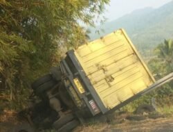 Diduga Rem Blong, Truk Colt Diesel Terperosok di Jalur Cikidang–Palabuhanratu