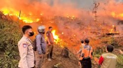 Kebakaran Hanguskan 18 Hektare Lahan Perhutani di Jampangtengah Sukabumi